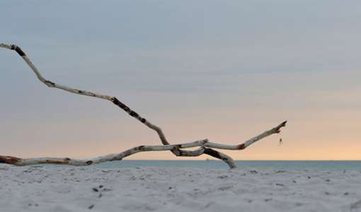 Strand und Meer: Stimmungsvolle Landschaftsfotografie