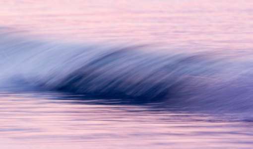 Eindrucksvolle Landschaftsfotografie auf dem Darß