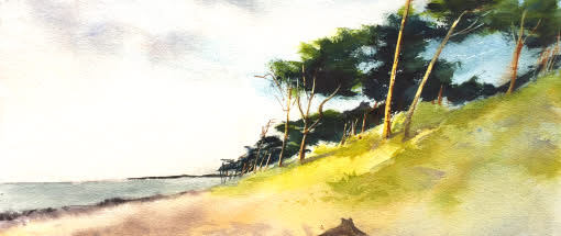 Aquarell leicht gemacht - Malen auf dem Darß