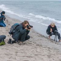 Fotografie am Strand