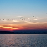 Sonnenuntergang fotografieren am Meer