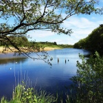 Fotografieren am See in der Natur