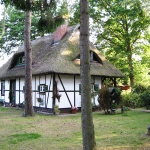 Fotografieren in der Natur von Prerow