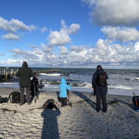 Gruppe von Fotografen am Strand Prerow